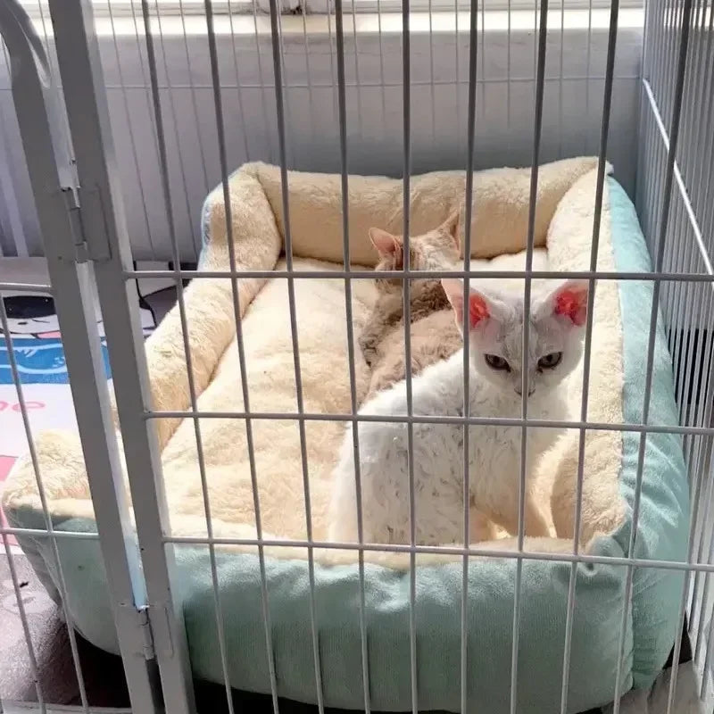Cama para Gatos