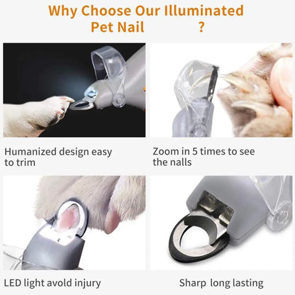 Cortauñas profesional para mascotas con luz LED con protector de seguridad