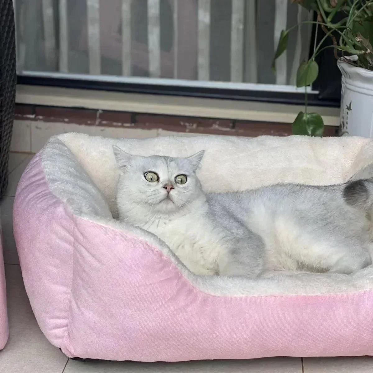 Cama para Gatos